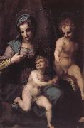 Andrea del Sarto, Virgin Mary and Jeusu and John